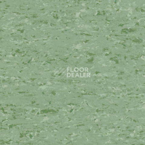 Линолеум Gerflor Mipolam Accord 0347 GREEN LAKE фото 1 | FLOORDEALER